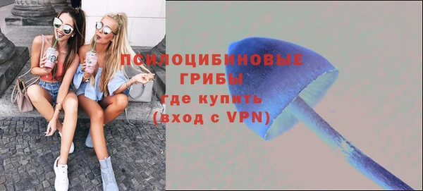 mdma Коряжма