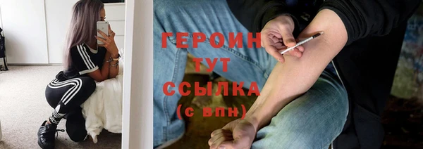 прущие грибы Мурманск