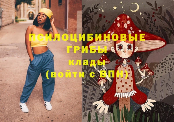 2c-b Костерёво