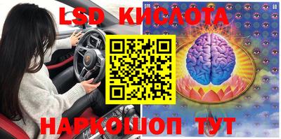стафф Гай