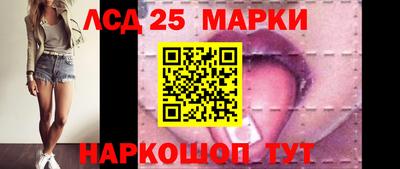 стафф Гай