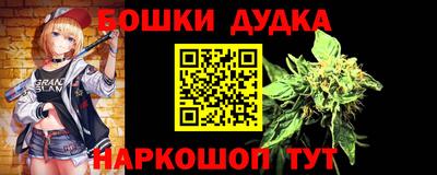 стафф Гай