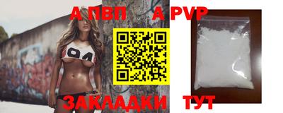 стафф Гай
