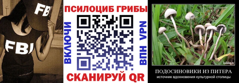 Галлюциногенные грибы Cubensis  купить наркоту  Бийск 