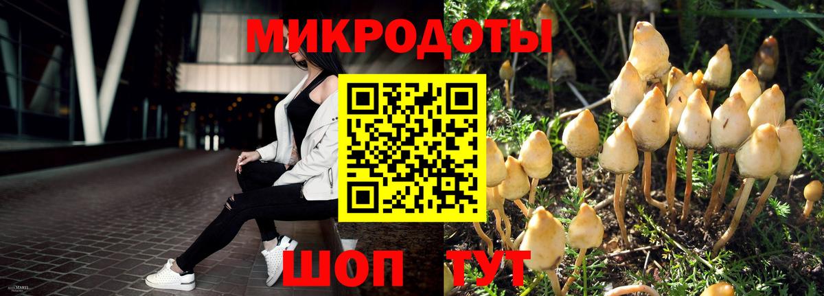 закладка  Бийск  Галлюциногенные грибы ЛСД  Псилоцибиновые грибы Cubensis 