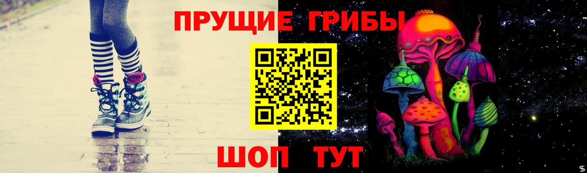 Псилоцибиновые грибы Psilocybine cubensis Бийск